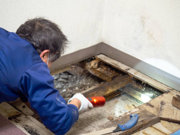 Crawl Space Mold Removal in Sandy Hook, CT