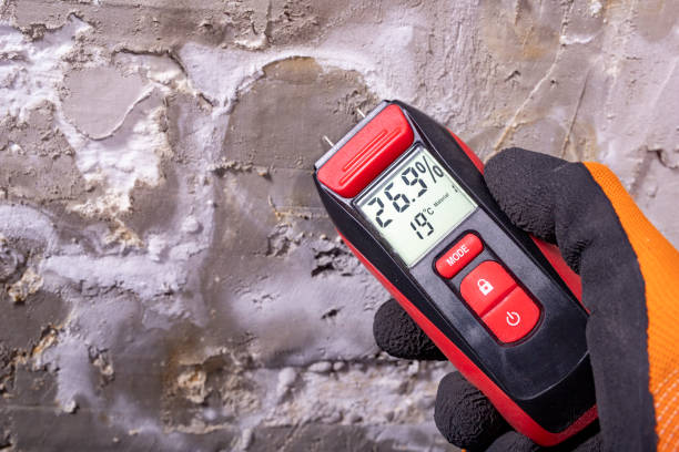 Best Mold Testing  in Sandy Hook, CT