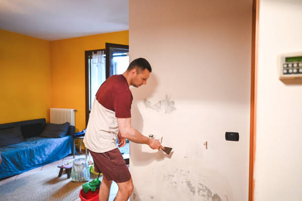 Best Mold Remediation Services  in Sandy Hook, CT