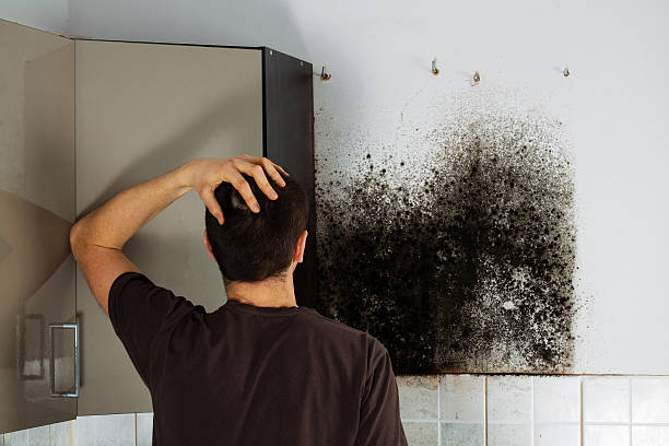 Best Home Mold Removal  in Sandy Hook, CT